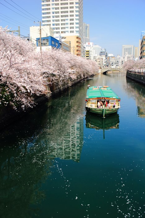 屋形船すずよし