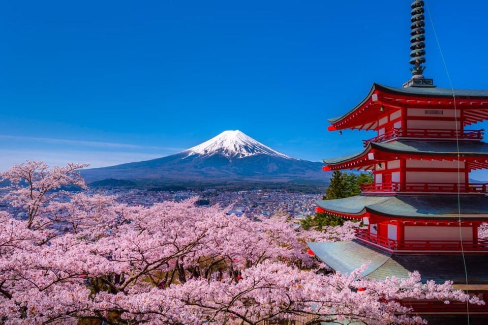 【東京発】富士山1日満喫！富士山五合目or大石公園＋河口湖抹茶体験＋忍野八海＋御殿場アウトレットへ　日帰りバスツアー