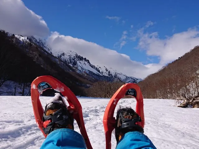 【初心者歓迎】みなかみスノーシューツアー　森と雪原を独り占め（1日コース、ランチ付き）