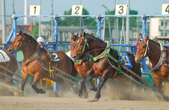 2025【札幌発】道の駅おとふけ なつぞらのふる里＆十勝ばんえい競馬を楽しむ
