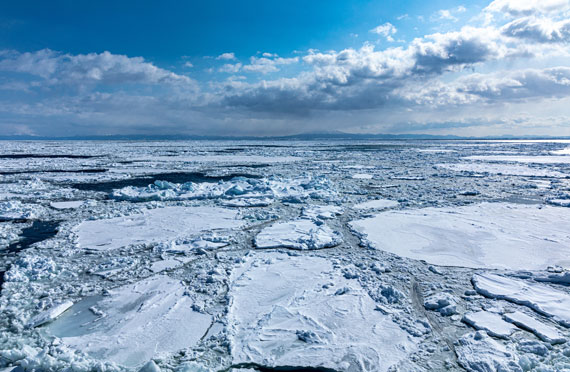 2023冬の旭山動物園と流氷砕氷船『ガリンコ号III・IMERU』乗船！幻想的な氷の祭典・層雲峡氷瀑まつりライトアップ欲張り日帰りツアー