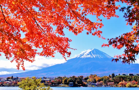 秋色鮮やかに染まる日光へ！日光東照宮・輪王寺＆日本三名瀑「華厳の滝」、日光いろは坂・中禅寺湖めぐる　日帰りバスツアー