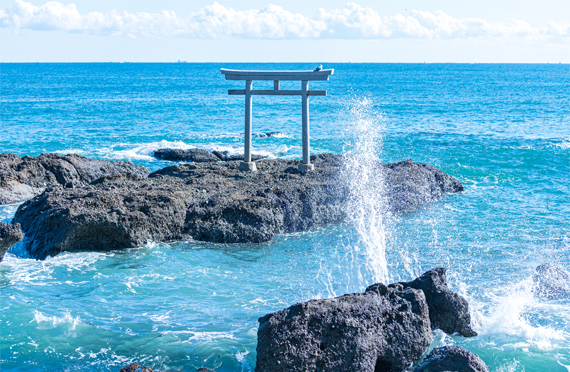 【東京発】真っ赤に染まるひたち海浜公園のもこもこコキアとパワースポット大洗磯前神社参拝 お昼は那珂湊でたっぷり120分★茨城満喫日帰りバスツアー