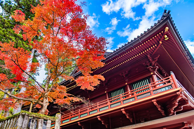 【東京発】輝く秋空と色鮮やかに染まる紅葉をめぐる旅 専門ガイドとまわる世界遺産・日光東照宮と華厳の滝、いろは坂、中禅寺湖遊覧 日帰りバスツアー