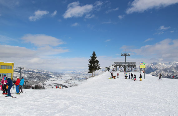photo1