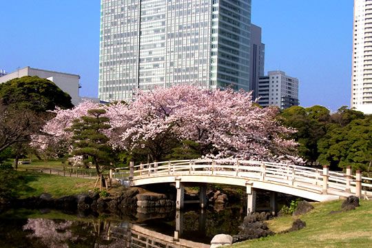 浜離宮恩賜庭園