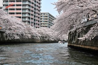 目黒川桜クルーズ