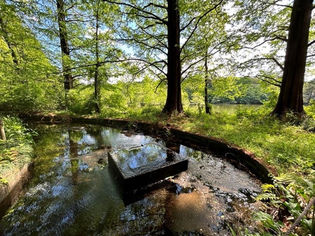 photo1