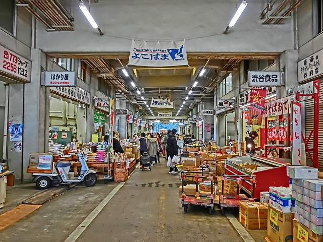 photo3