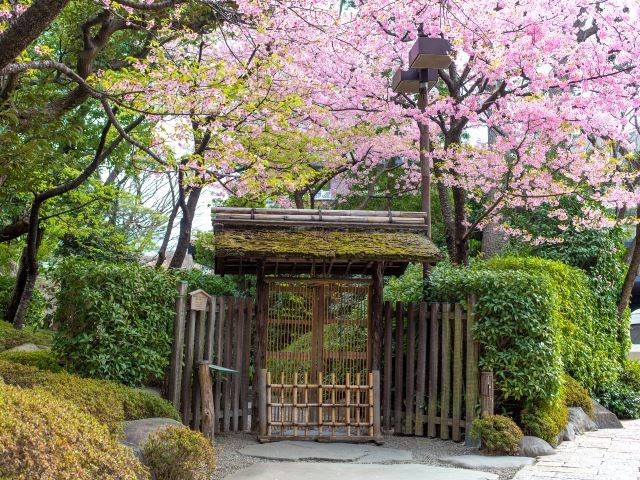 旧朝香宮邸見学＆八芳園河津桜観賞と高輪さんぽ