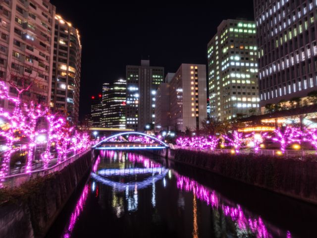 目黒川
                            冬の桜(R)イルミネーション