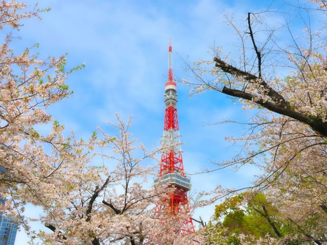 隅田川千本桜クルーズと東京桜名所5景＆品川プリンスホテル・HAPUNA70種ランチビュッフェ付バスツアー