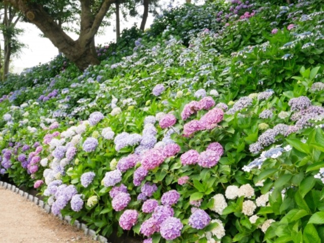 photo2