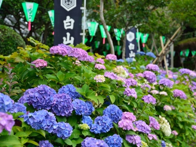 photo2