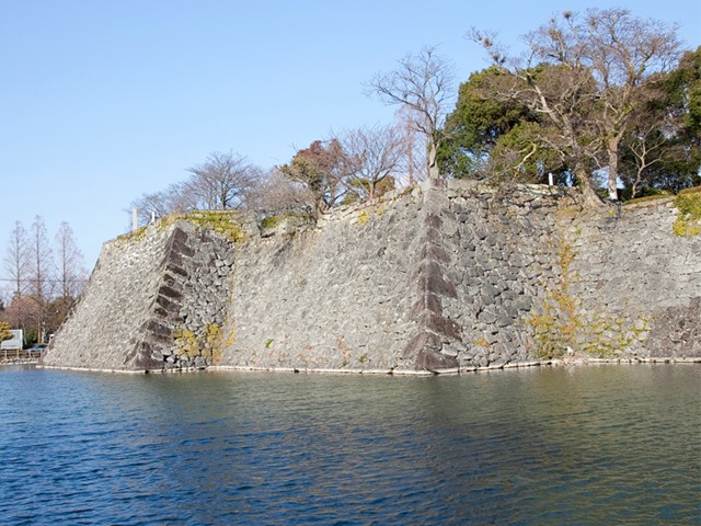 photo2