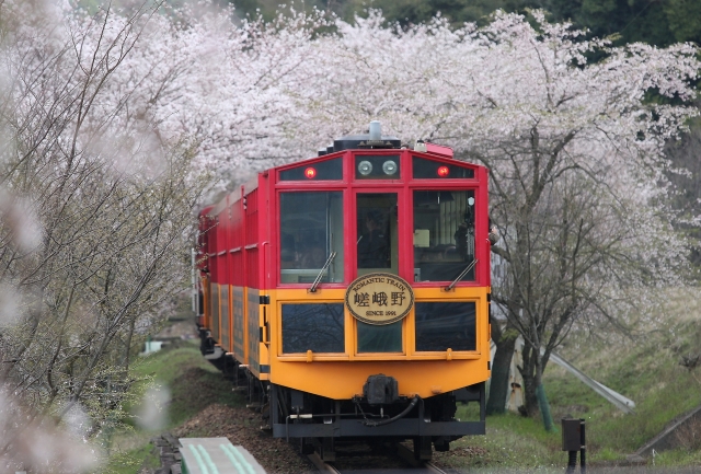 【京都駅発着】春の嵐山散策と絶景嵯峨野トロッコ列車と保津川下り★催行決定★