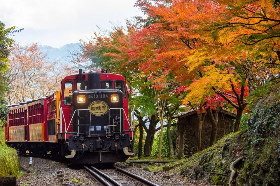 【京都駅発着】秋の嵐山散策と絶景嵯峨野トロッコ列車と保津川下り
