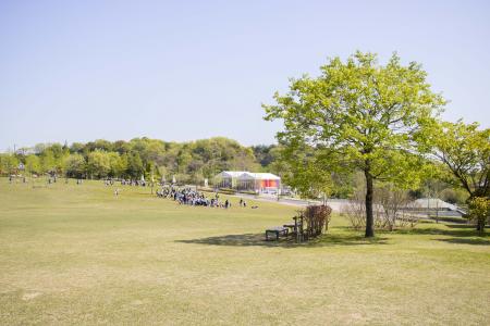 photo1