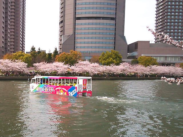 大阪ダックツアーお花見クルーズ＆中華お花見弁当