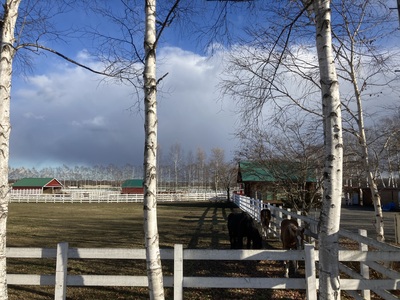 photo3