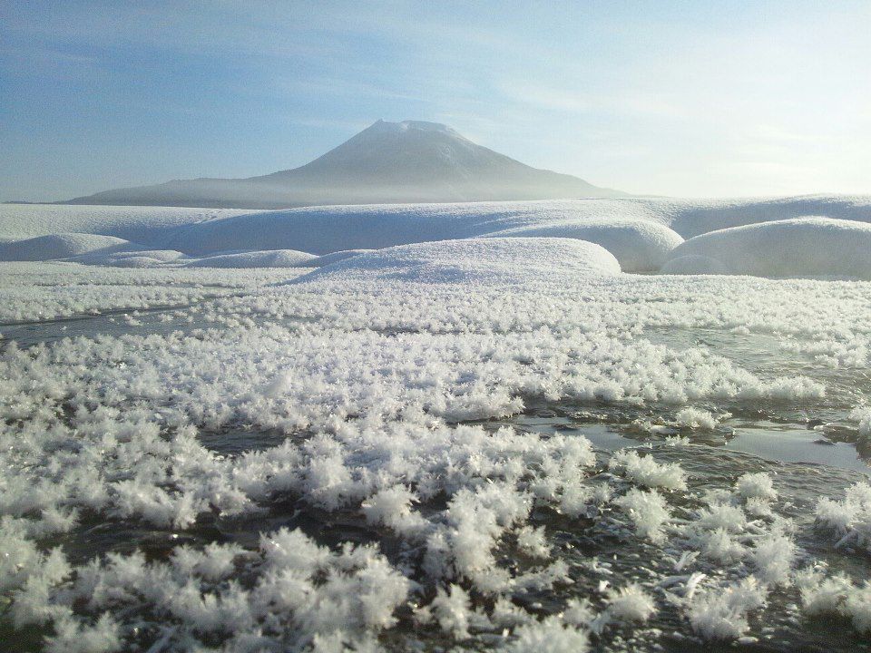 阿寒湖のフロストフラワー