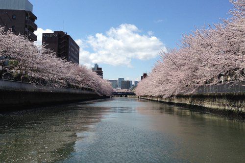 バスツアー