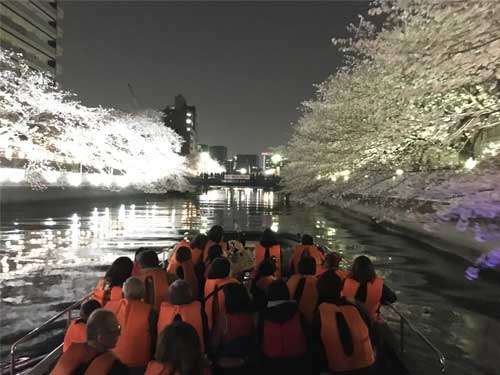 がれおん】黒船橋乗船場 / さくら回廊お花見クルーズ[3/20～4/7　東京]