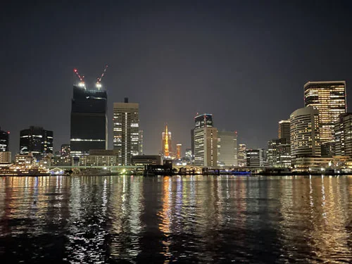 高層ビル群と橋のライトアップを満喫！東京湾ナイトクルーズ（夜景を堪能しながら夕涼み）