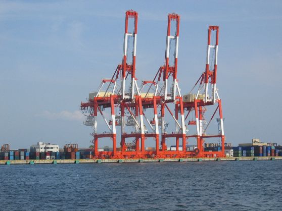 2024 Christmas 工場夜景ジャングルクルーズ