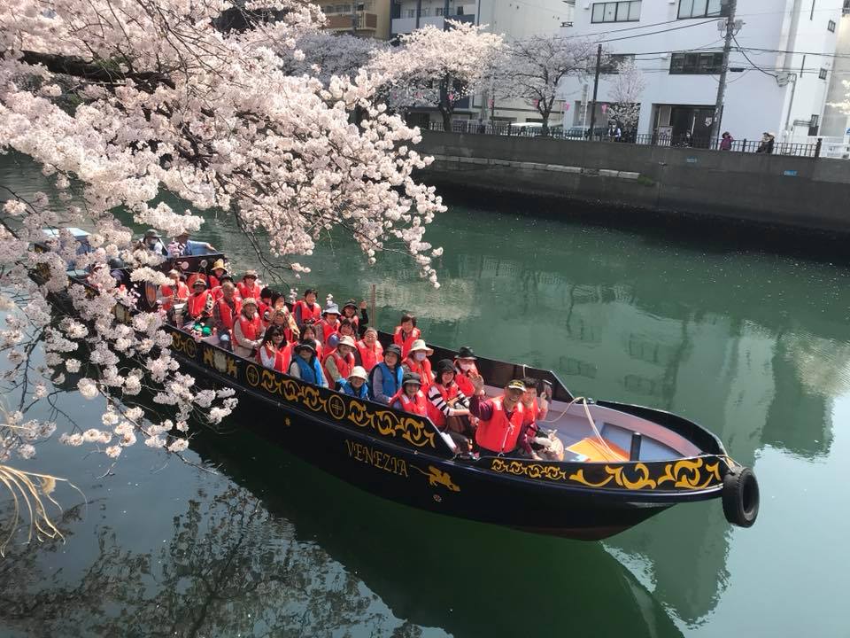 【横浜・日ノ出桟橋出航】エンジン付きボート船「ベネチア号」でいく！春らんまん・大岡川桜クルーズ