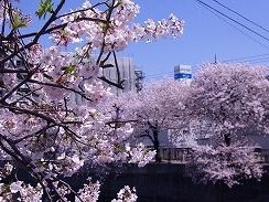 photo3
