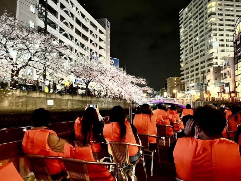 【夜桜クルーズ 18：00発 19：00発 20：00発】　桜花爛漫の美を仰ぐ　大岡川の夜桜とみなとみらい夜景クルーズ