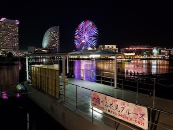 大岡川の夜桜とみなとみらい夜景クルーズ