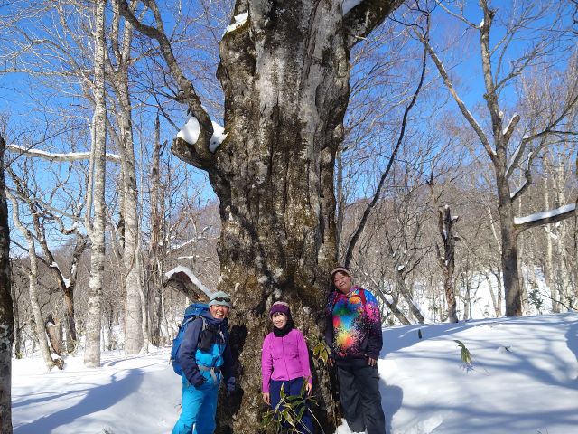 ＜群馬みなかみ＞冬限定！スノーシュー半日コース　群馬みなかみの冬を楽しもう