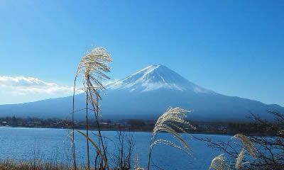 季節の味わい豊かな　富士河口湖　家族・少数グループで楽々の日帰り旅