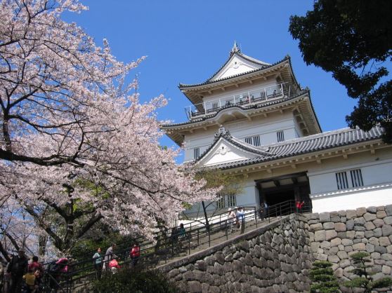 箱根と城下町小田原　家族・少数グループで楽々の日帰り旅