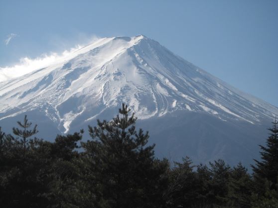 グルっと巡る富士山と箱根　家族・少数グループで楽々の日帰り旅