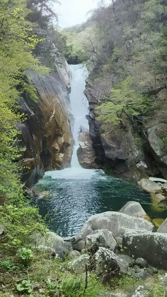 季節の果物狩り！　家族・少数グループで楽々の日帰り旅