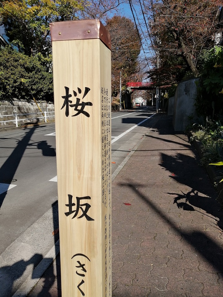 関東 山 森 高原で遊ぶを旅プラスワンで予約