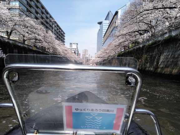 目黒川舟下り桜お花見クルーズ！★早起き８時１５分