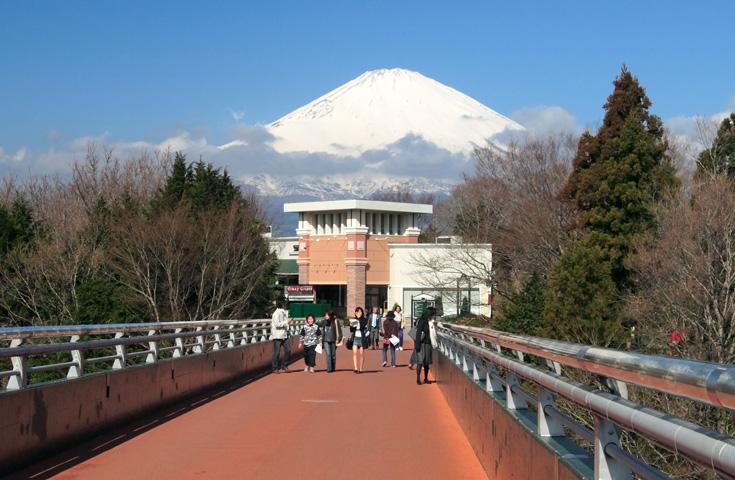 [上野/新宿発]訪れたいスポットとして人気の富士山と忍野八海をめぐり日本最大級のプレミアムアウトレットまで！山梨県ご当地ブランド牛の甲州ワインビーフのステーキに舌鼓！ 大満喫日帰りバスツアー！(中国語ガイド付)