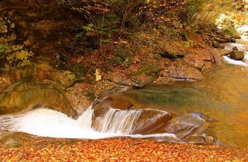 一生に一度は行きたい紅葉の西沢渓谷ハイキング！神秘の絶景・滝めぐり！温泉入浴付きバスツアー