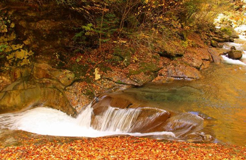 一生に一度は行きたい紅葉の西沢渓谷ハイキング!神秘の絶景・滝めぐり!温泉入浴付きバスツアー