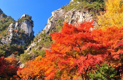 紅葉に染まる日本一の渓谷美「昇仙峡」散策と「ぶどう&みかんのW狩り」食べ放題!秋薫る「松茸釜飯御膳」ご昼食やワインの試飲等、山梨満喫の日帰りバスツアー!
