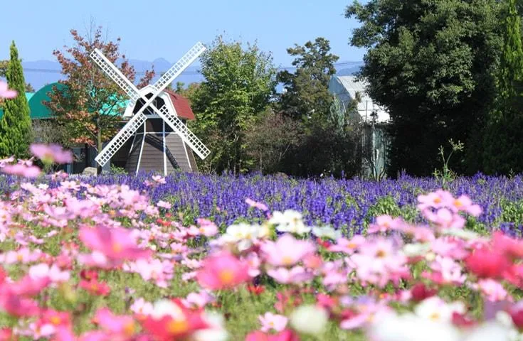 photo1