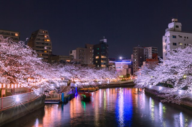 【秋葉原17:45集合】「深川さくら祭り‐夜桜ライトアップ観覧クルーズ」