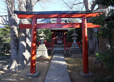 photo1