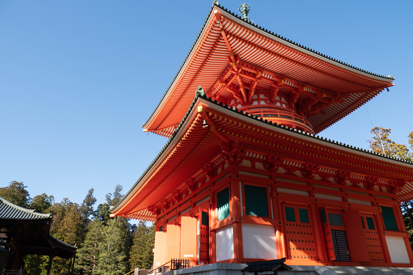 ＜日本語・中国語＞高野山日帰りツアー 世界遺産 高野山＋たま電車＋黒潮市場 貴志駅～伊太祈曽駅間往復乗車券付き