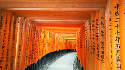 ＜日本語・英語・中国語＞竹林の「嵐山」！鹿と触れ合う「奈良公園」！鳥居1万基の「伏見稲荷」（京都＆奈良日帰りツアー）