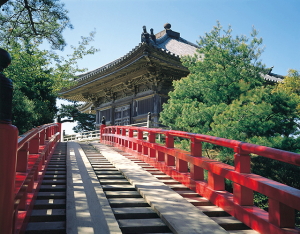 photo2
